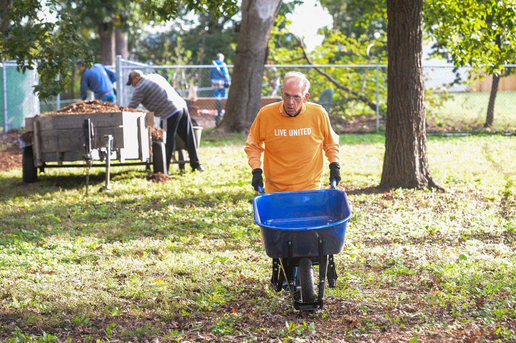 Day of Caring